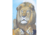 Lion by Dayton Edmonds